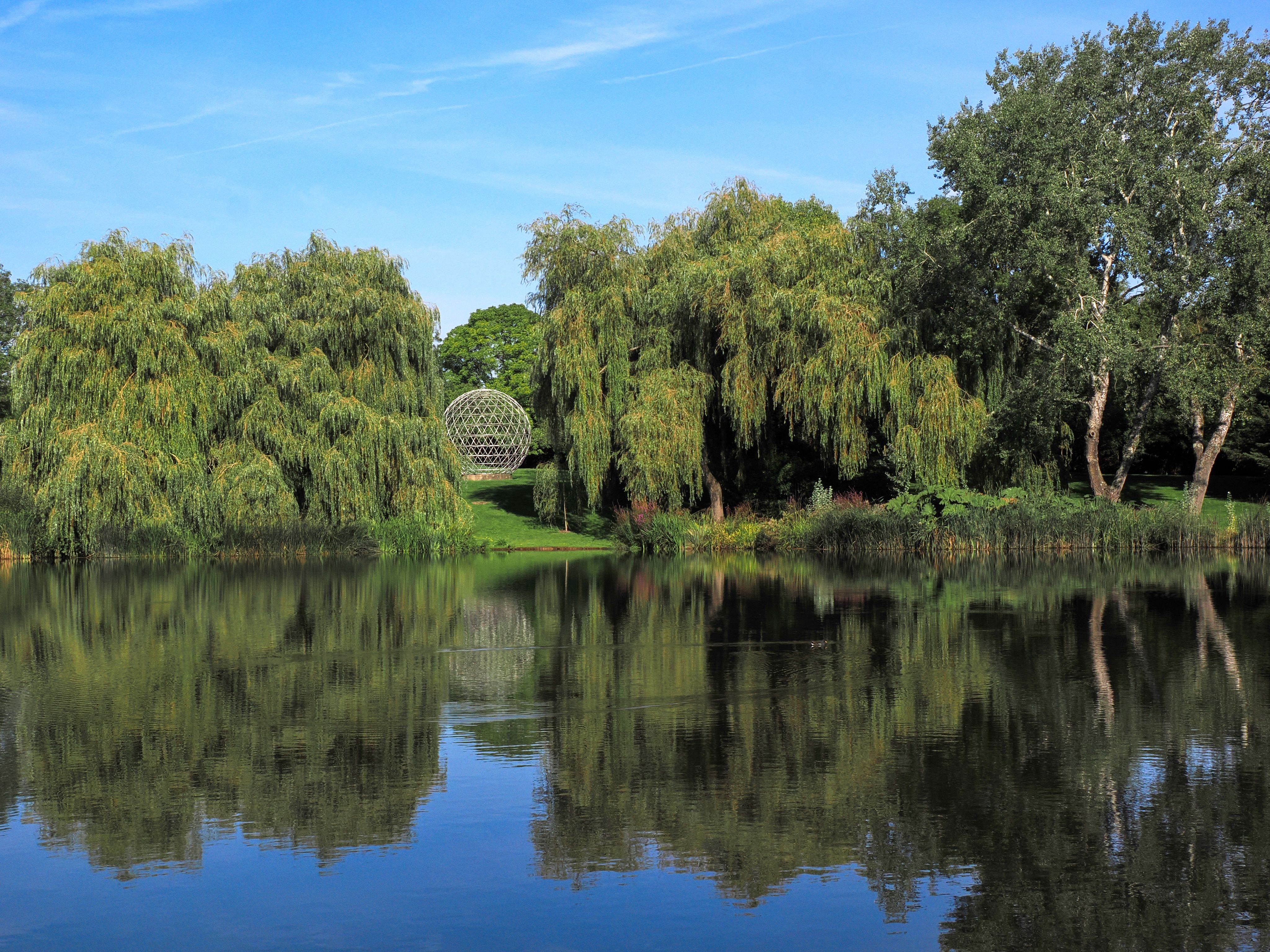 View of the lake on Stag Hill campus